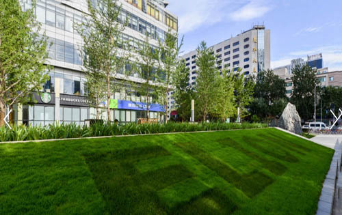 亿利生态广场内景